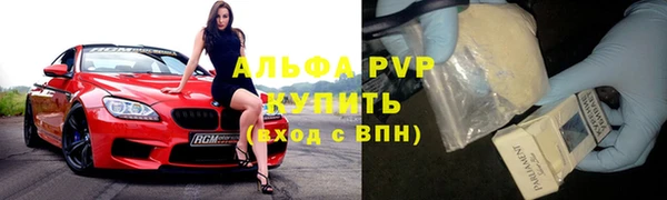 крисы Белокуриха