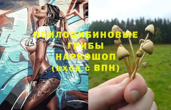 крисы Белокуриха