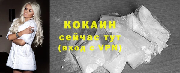 крисы Белокуриха