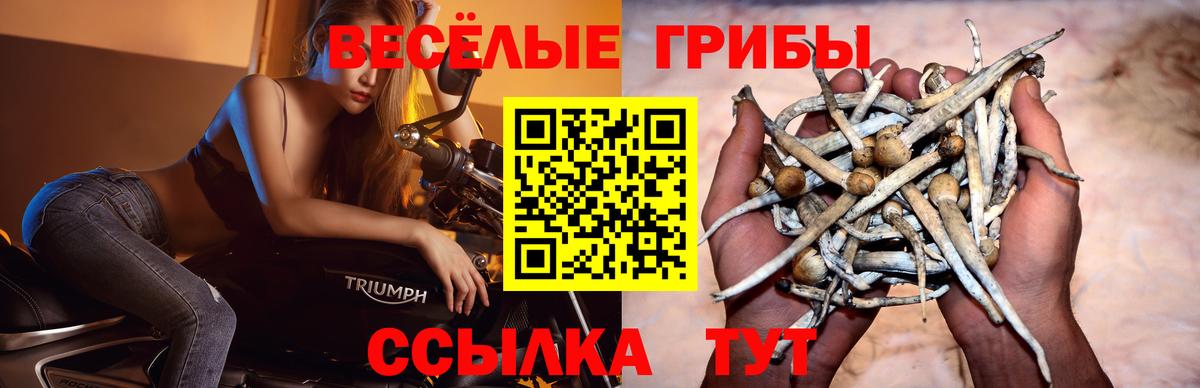 Валуйки  Псилоцибиновые грибы ЛСД  Вход с VPN 